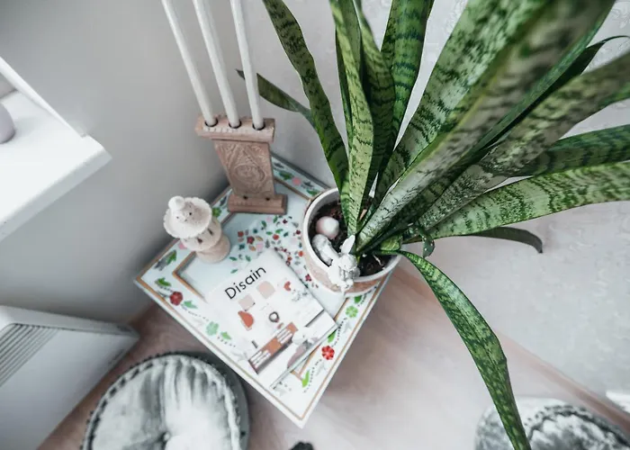 Rueuetli 24-2 * Pärnu